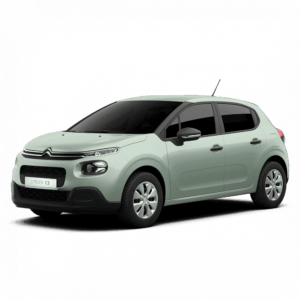 Кузовные детали Citroen Citroen C3