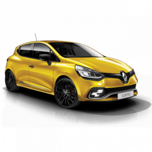 Кузовные детали Renault Renault Clio RS