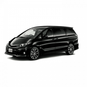 Кузовные детали Toyota Toyota Estima